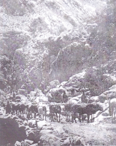 Ox wagon in Meiringspoort 1878